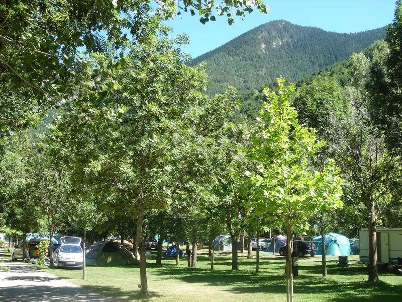 Camping La Mola — Foto 4