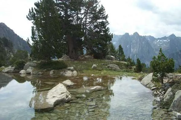Camping La Mola