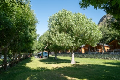 Pitch XL 120m² — 2