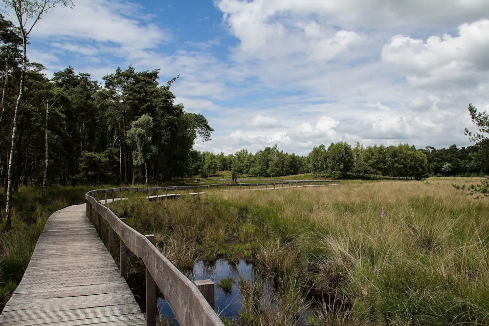 Camping Borken am See - image n°52 - UniversalBooking