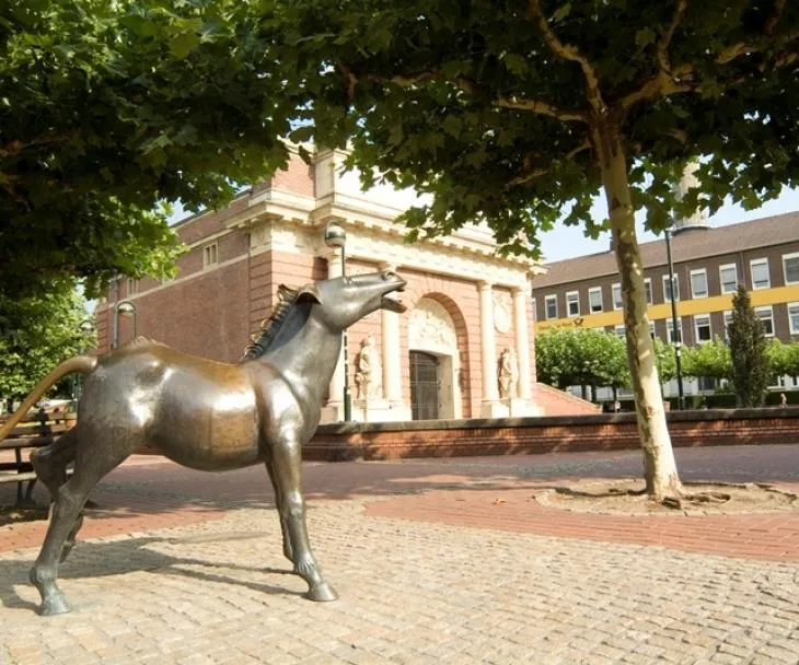 Camping Borken am See - image n°73 - UniversalBooking