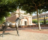 Foto #77 van Camping Borken am See