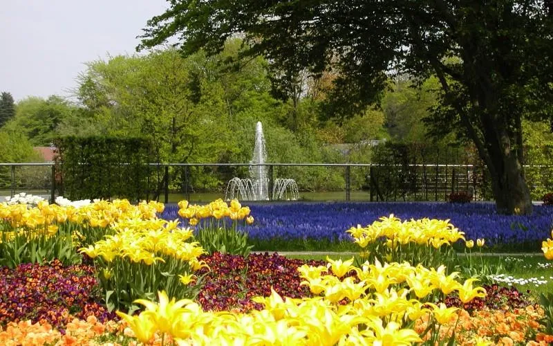 Camping Borken am See - image n°64 - UniversalBooking