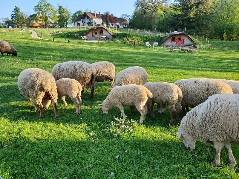 Domaine de la Roche Bellin - image n°1 - Camping2Be