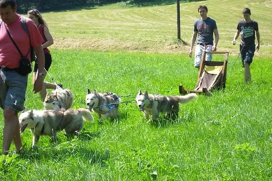 Appart'Hotel le Splendid - Terres de France
