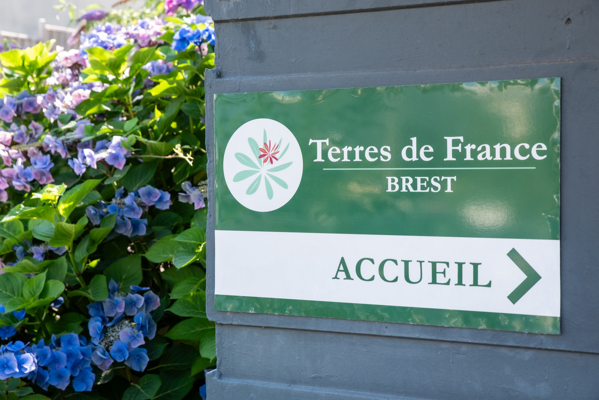 Appart'Hotel Brest Pasteur - Terres de France — Photo 4