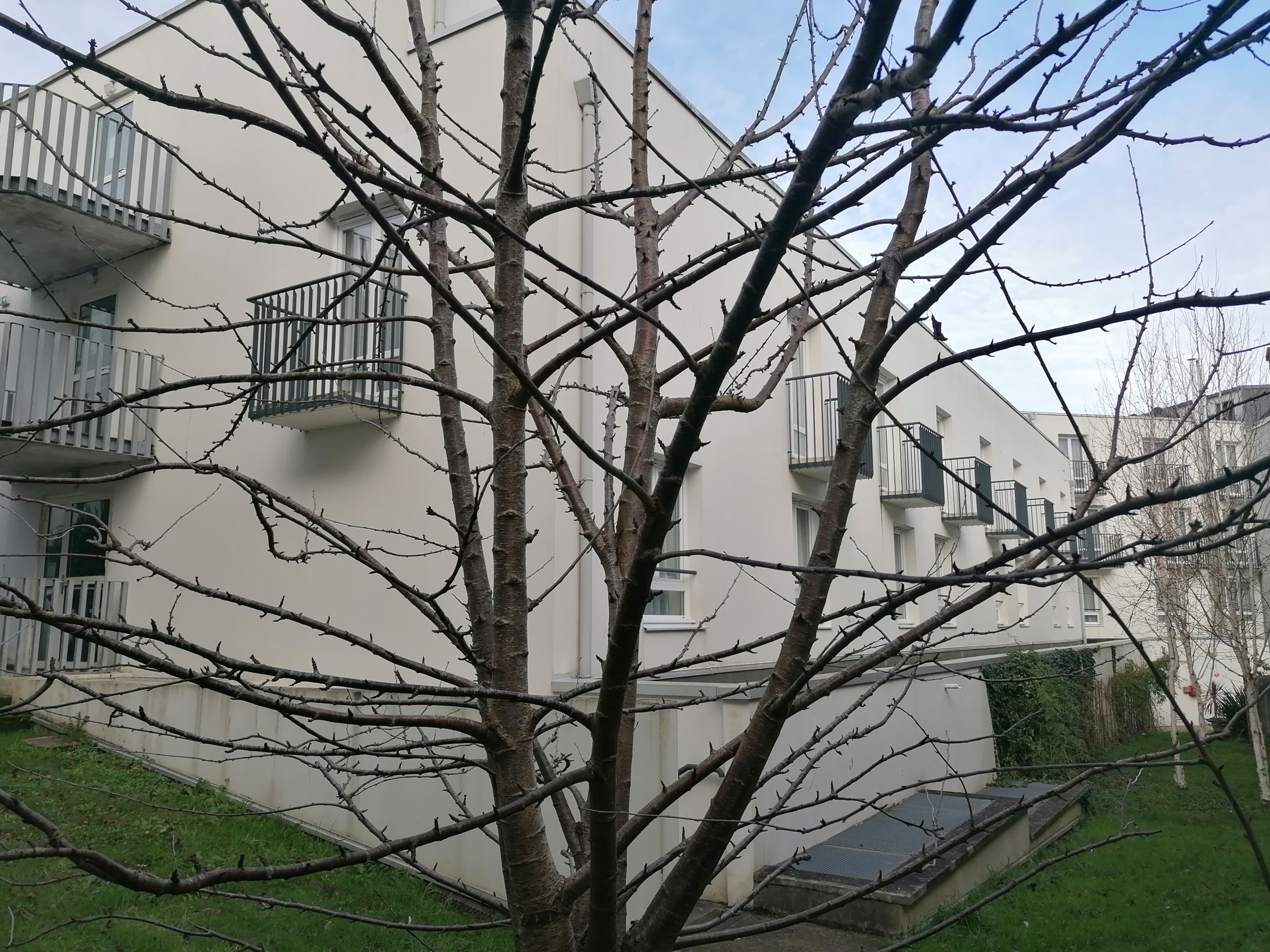 Appart'Hotel Quimper - Terres de France — Foto 8