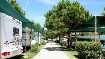 Stellplatz - Stellplatz Wohnmobil Lodge Hill - Pineto Beach Village e Camping