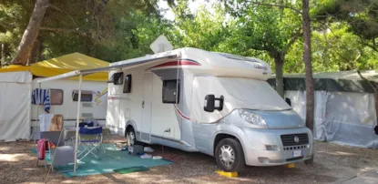 Parcela Autocaravana Pine Woods