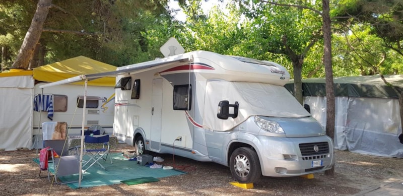 Piazzola Camper/Roulotte Pine Woods BSR
