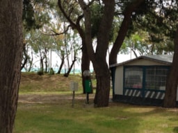 Kampeerplaats(en) - Standplaats Tent Of Caravan Pine Woods - Pineto Beach Village e Camping