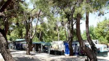 Stellplatz - Stellplatz Zelt Oder Wohnwage Standard  C/Bagno - Pineto Beach Village e Camping