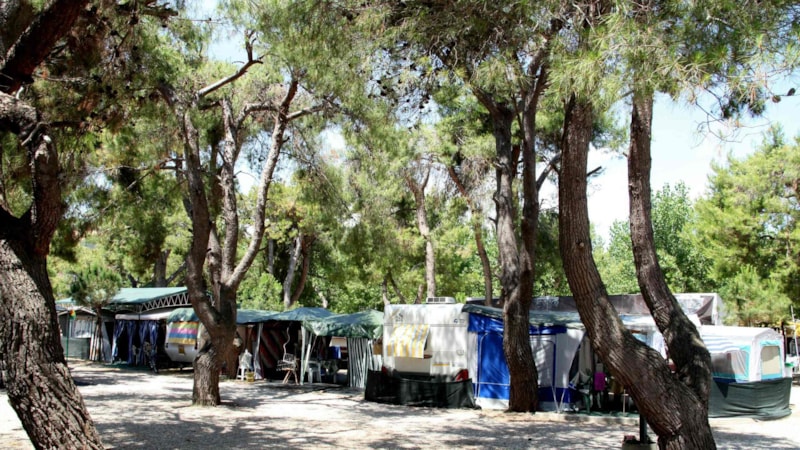 Piazzola Tenda standard C/Bagno BSR