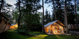 Accommodation - Trappeur Tent Ii - Huttopia La Forêt de Janas