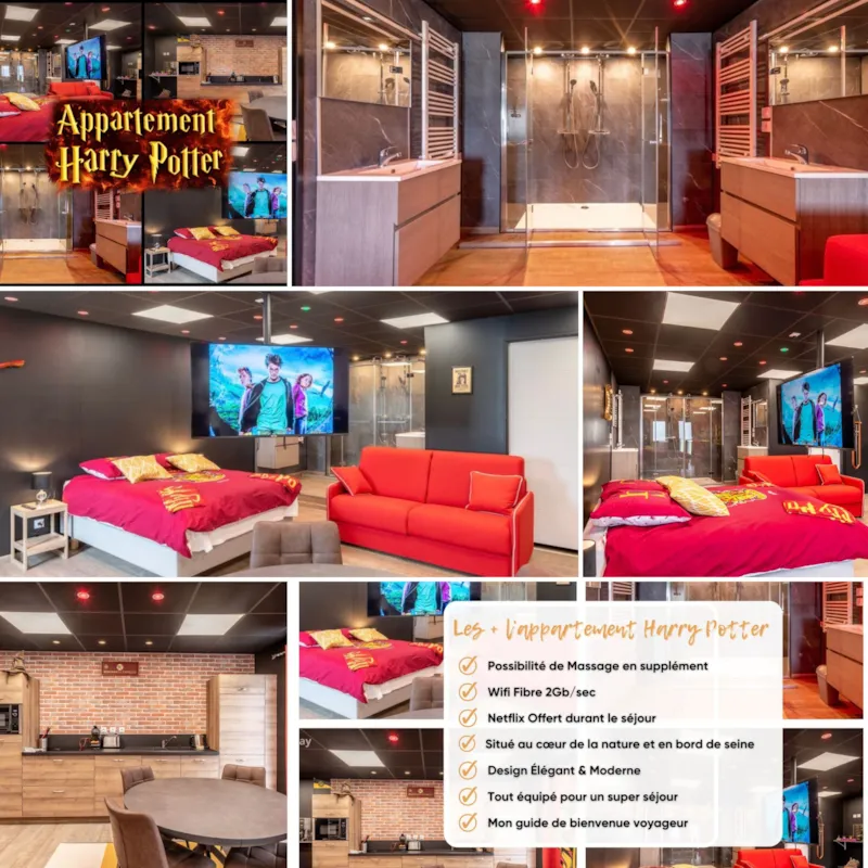 Harry Potter Univers Magique | Ambiance Immersive
