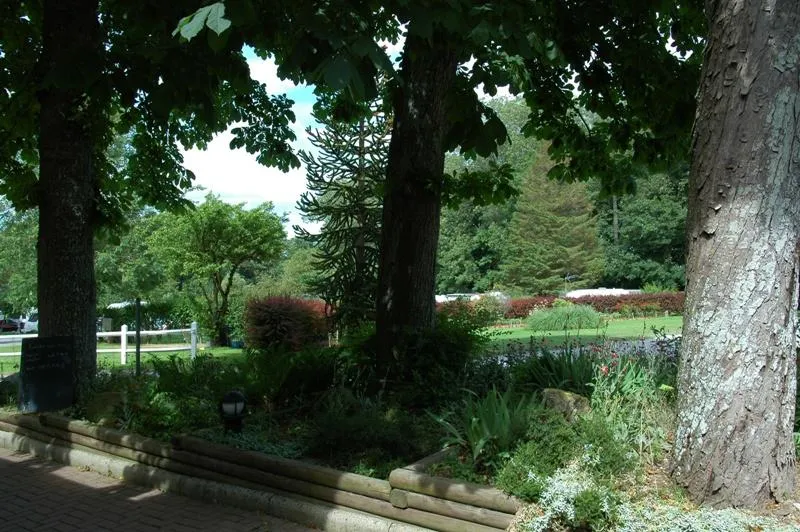 Emplacement + 1 Voiture