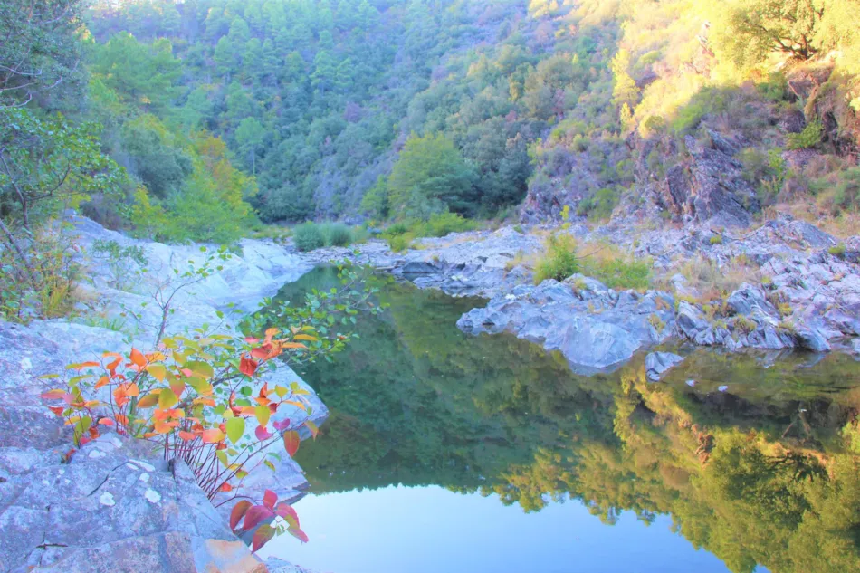 Camping Le Moulin du Luech