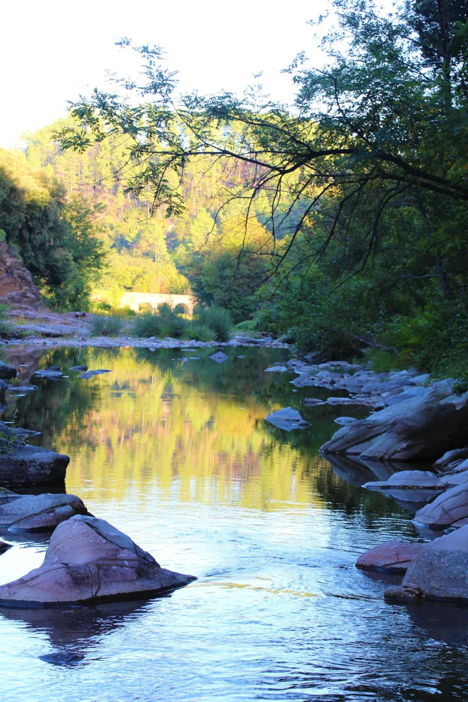 Camping Le Moulin du Luech