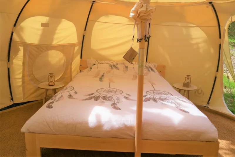 Châtaigne Étoilée