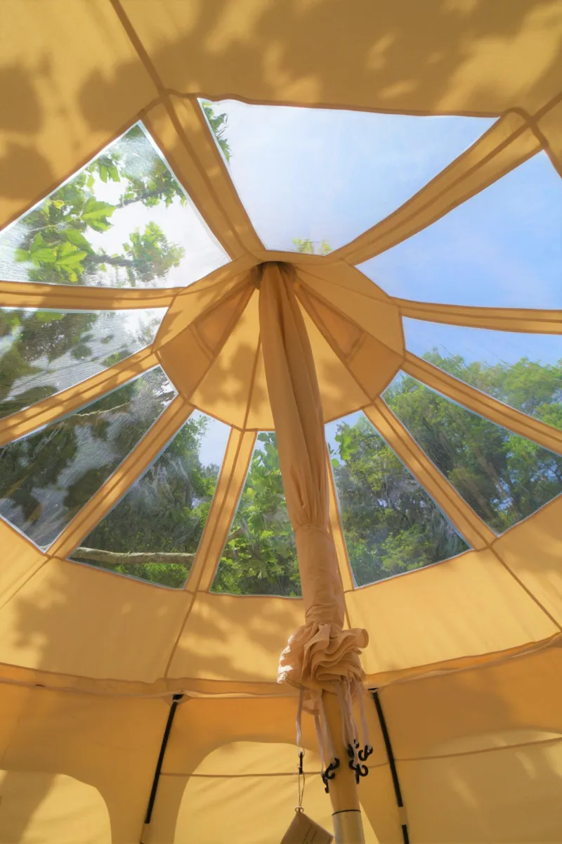 Châtaigne Étoilée