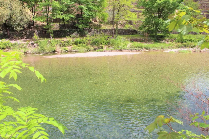 Forfait Confort (Tente Ou Caravane / 1 Voiture / Électricité)