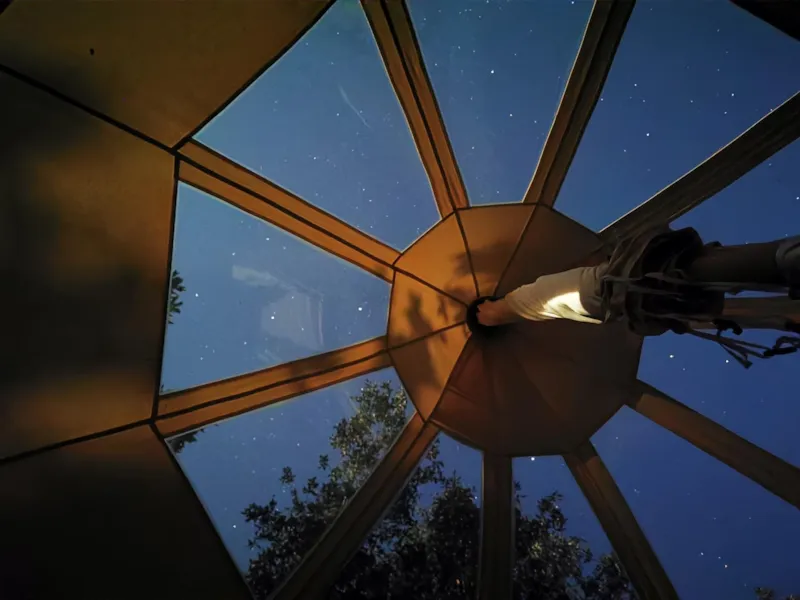 Châtaigne Étoilée