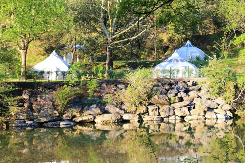 Châtaigne Étoilée