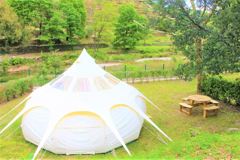 Châtaigne Étoilée Familiale