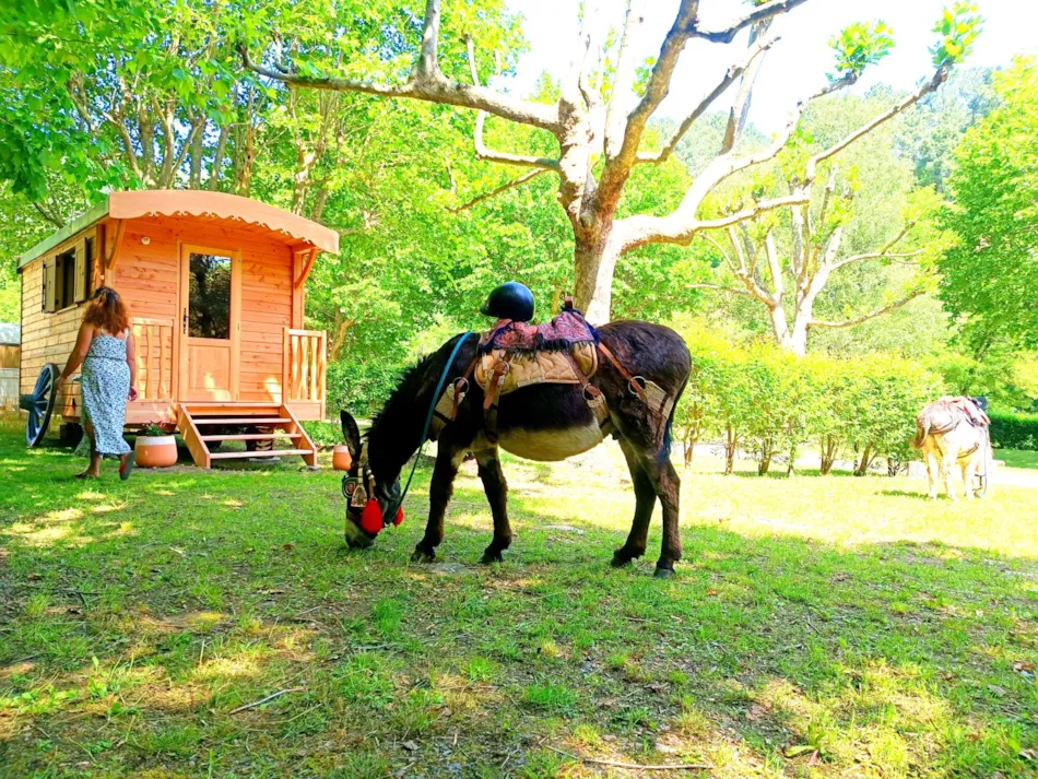 Camping Le Moulin du Luech