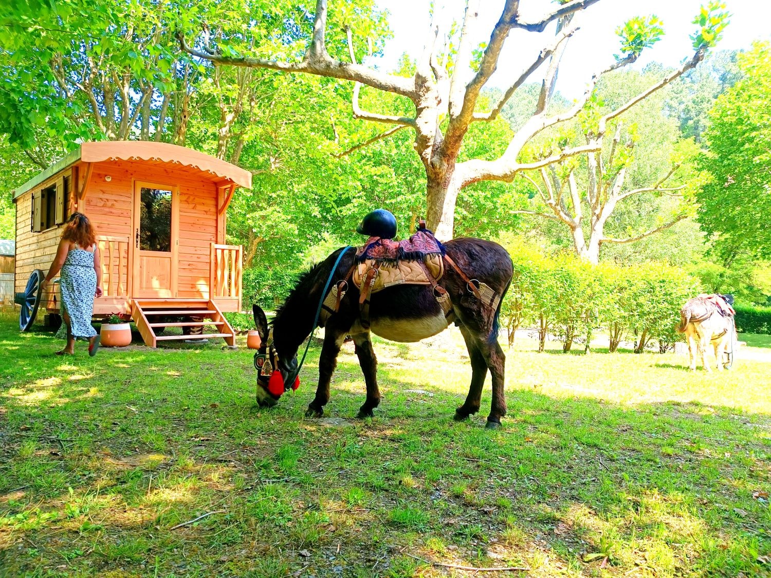 Camping Le Moulin du Luech — Photo 9