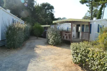 Mietunterkunft - Mobilheim 16M² - 1 Zimmer - Camping de la Corsive