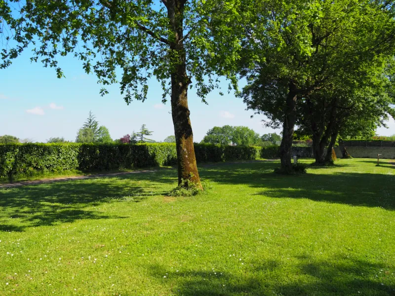 Forfait Emplacement + 1 Véhicule + 1 Tente Ou 1 Camping-Car Ou 1 Caravane