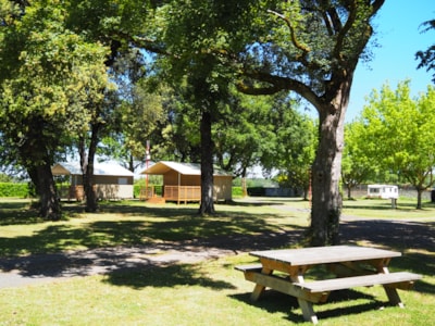 Pitch + 1 car + 1 tent or 1 caravan or 1 motor home — 4