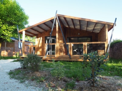 Chalet Mimosa - 32 m² - 2 bedrooms — 1