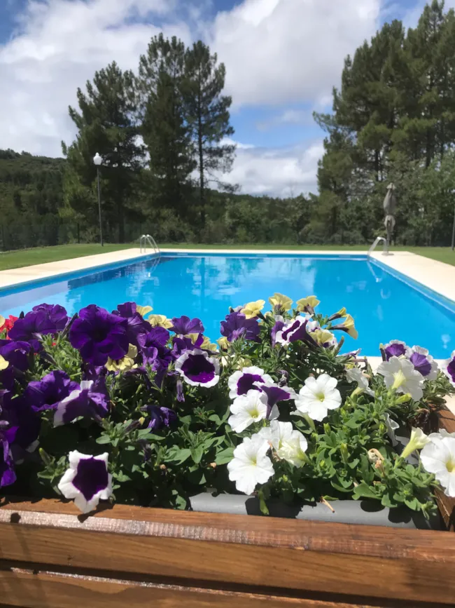 Cepo Verde - image n°4 - Camping Direct