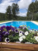 Foto #5 van Cepo Verde