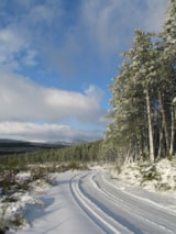 Foto #50 van Cepo Verde