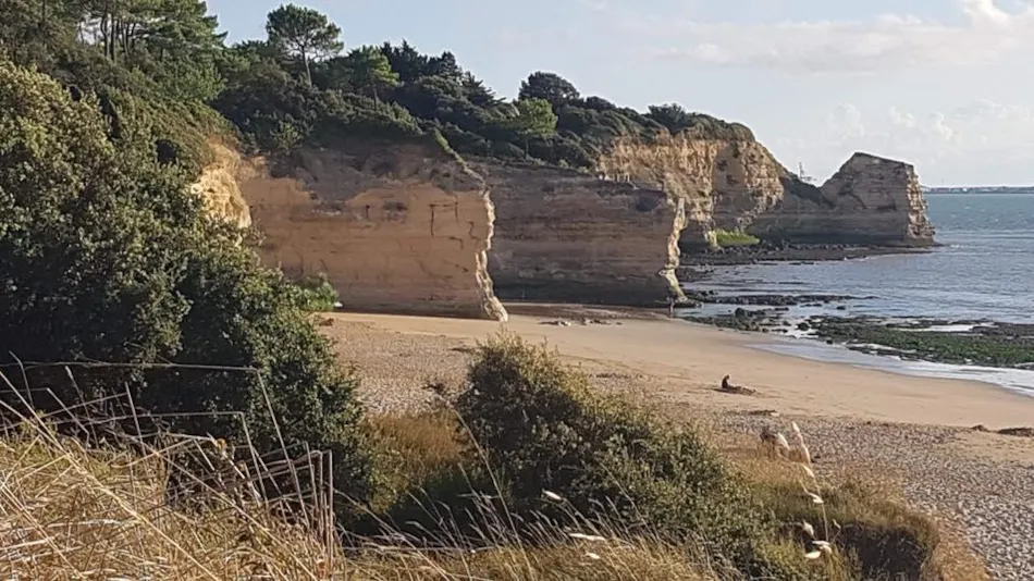 Flower Camping Les Loges