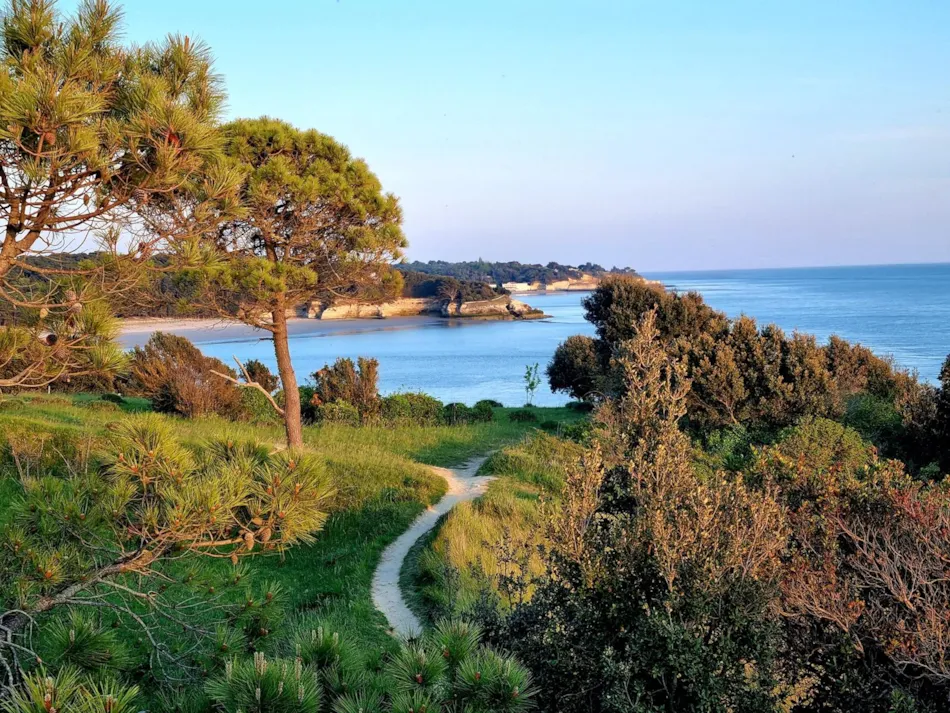 Flower Camping Les Loges