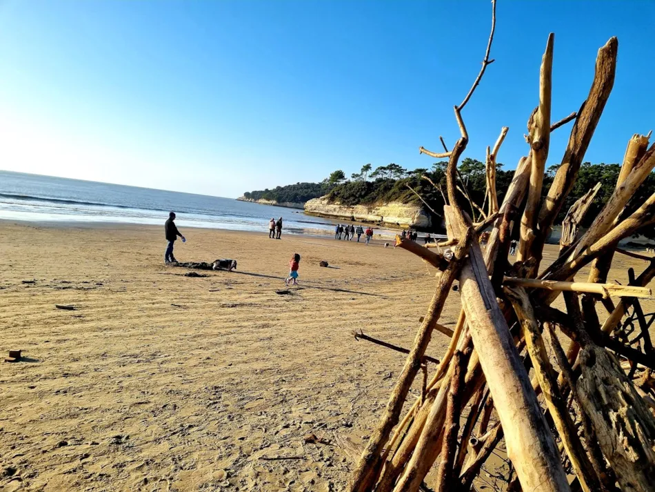 Flower Camping Les Loges