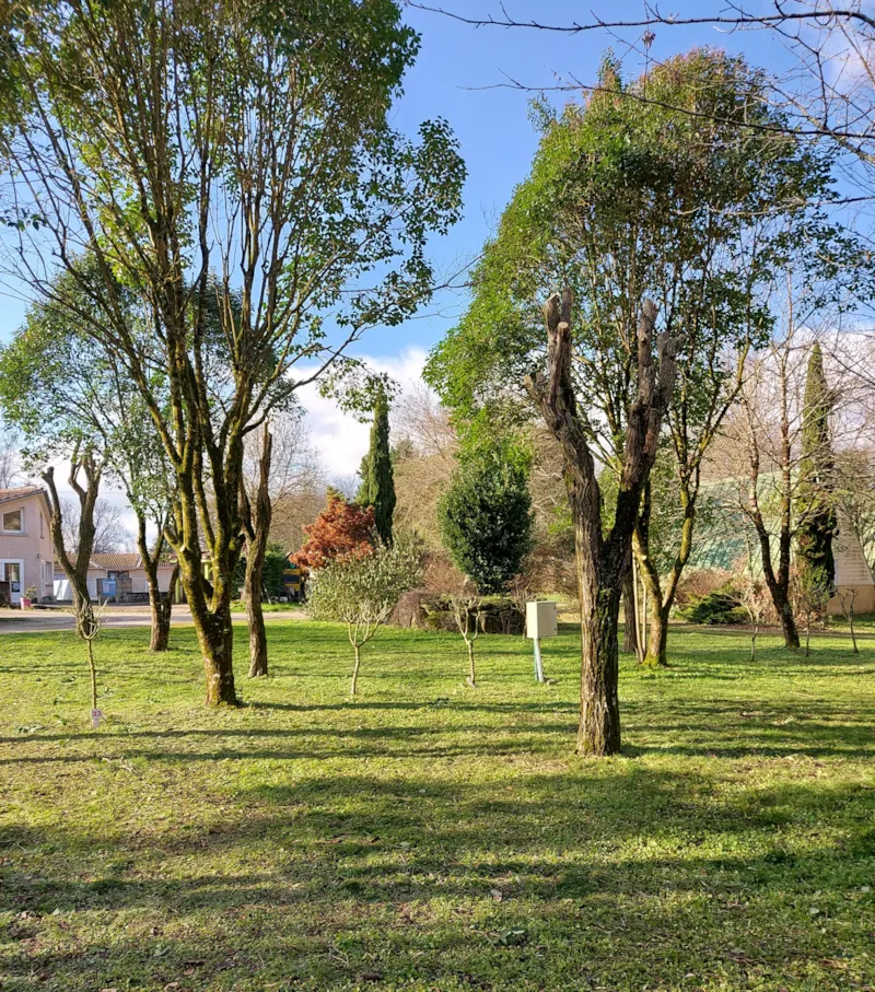 Emplacement Nu Avec 1 Véhicule + 1 Équipement