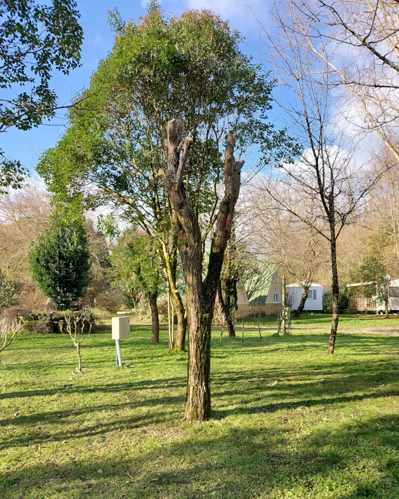 Emplacement Nu Avec 1 Véhicule + 1 Équipement