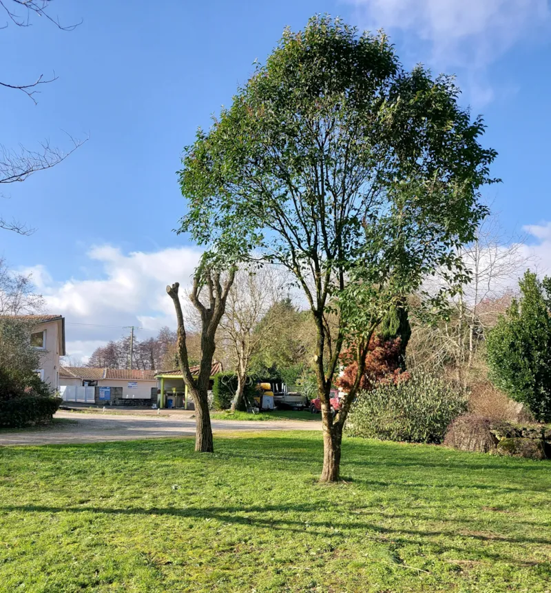 Emplacement Nu Avec 1 Véhicule + 1 Équipement