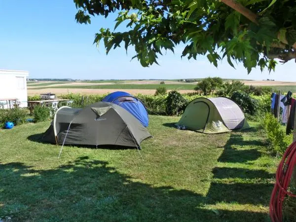 Stellplatz - Stellplatz Nature (1 Zelt, Wohnwagen, Wohnmobil / 1 Auto) - Camping Le Bellevue