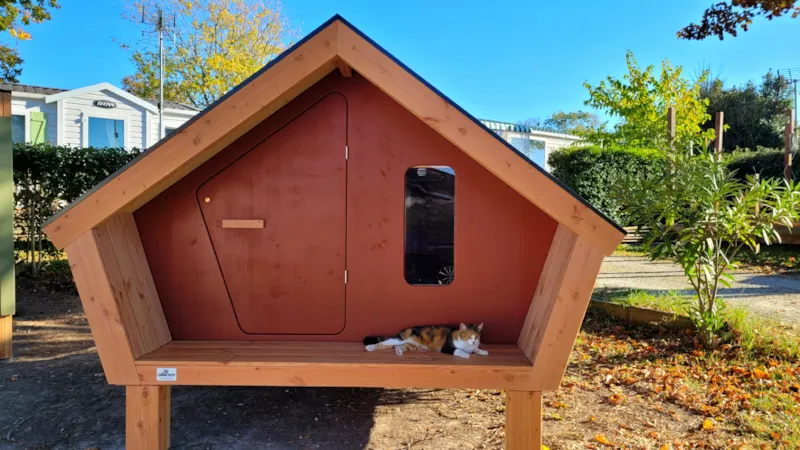 Cabane -Étape "Lochenn"