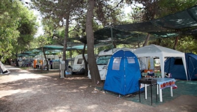 Pitch — 3
