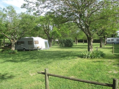 Pitch camping