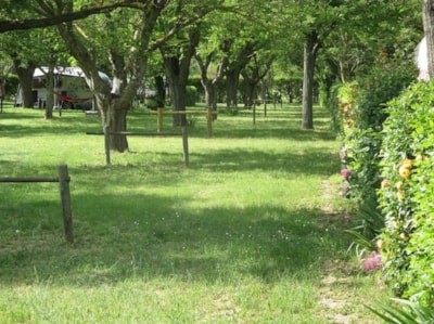 Pitch camping