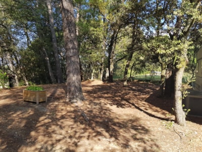 Pitch camping