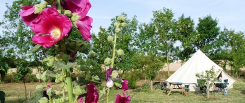 Foto #1 van Camping Le Verger